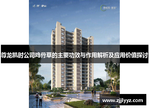 尊龙凯时公司鸡骨草的主要功效与作用解析及应用价值探讨